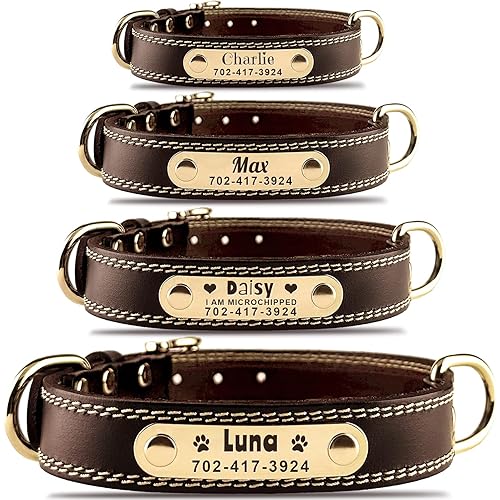 Personalized Dog Collar - Custom Leather Dog Collar with Engravable Nameplate - Durable Name Tag Collar - Customizable Dog Collar - Comfortable ID Collars for Small, Medium, Large Dogs (Medium)