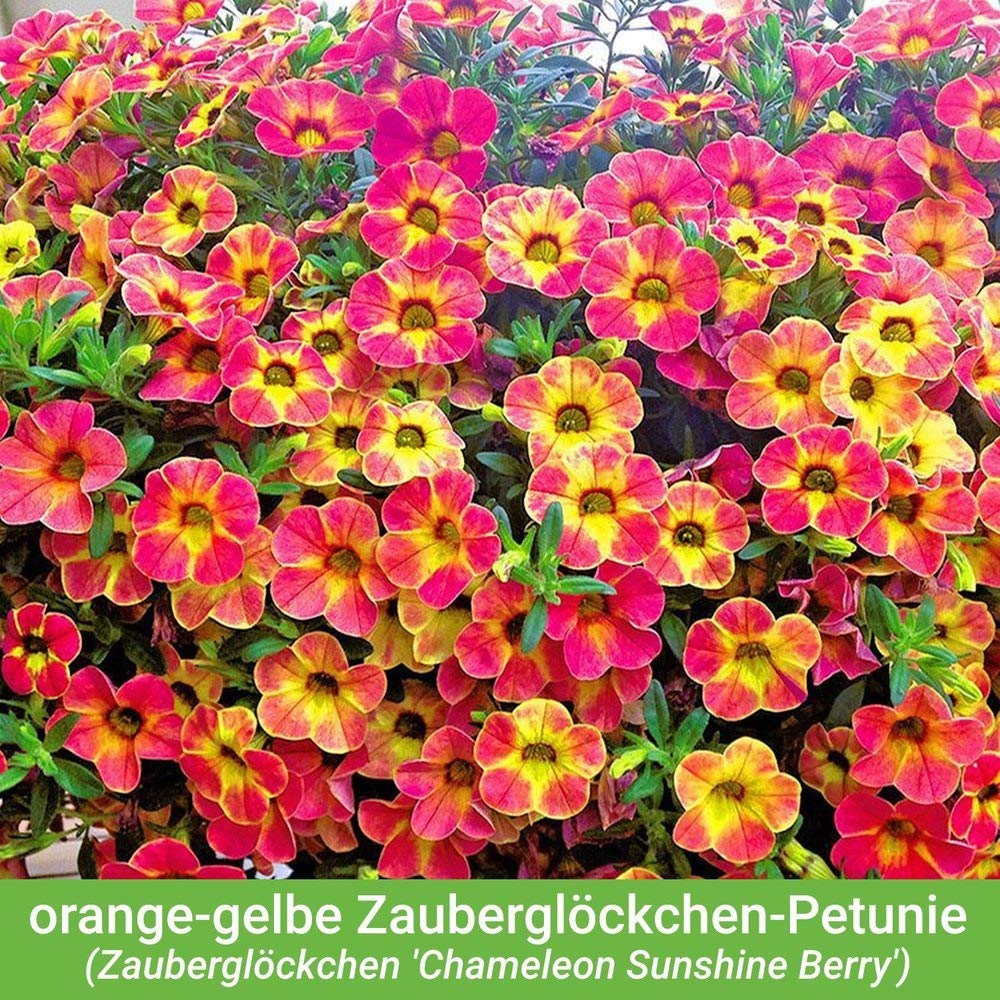 wandhalterung fr blumenkasten Blumenkasten FIONA Metall Blumenwandkorb H/B/T 25/110/24 cm Eisen, dun