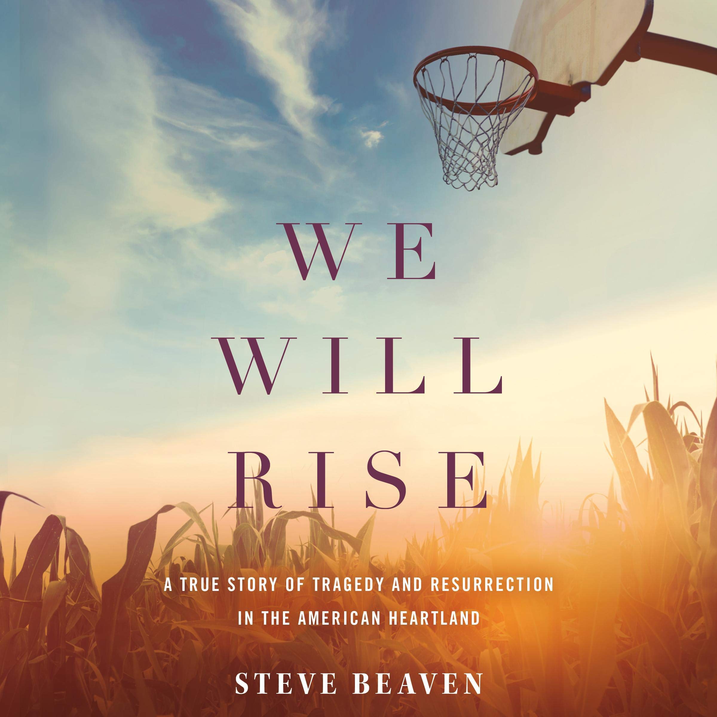 Cover art for We Will Rise
