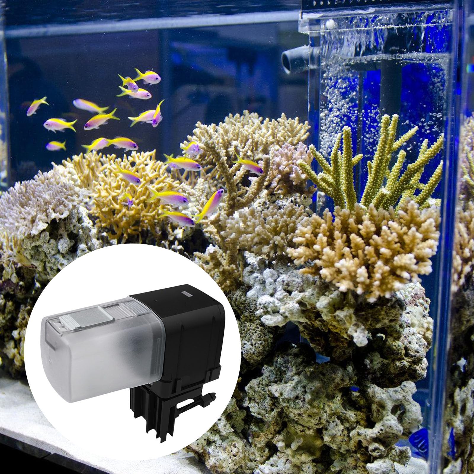 Mangeoire automatique WiFi avec alimentation USB et commande vocale pour les propriétaires de poissons professionnels débutants