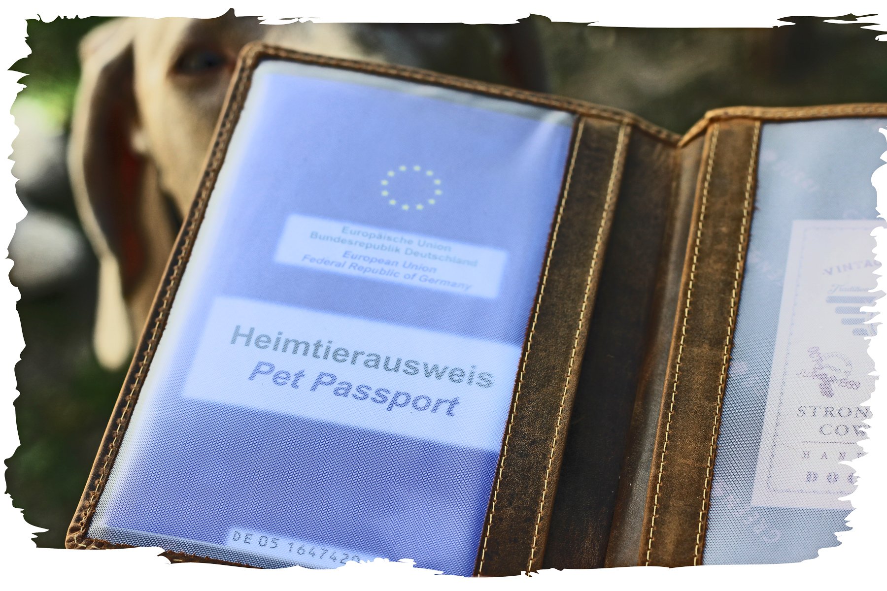 Greenburry EU Heimtierausweis Hülle Impfpasshülle Hund Motiv Labrador Retriever + Wunschname
