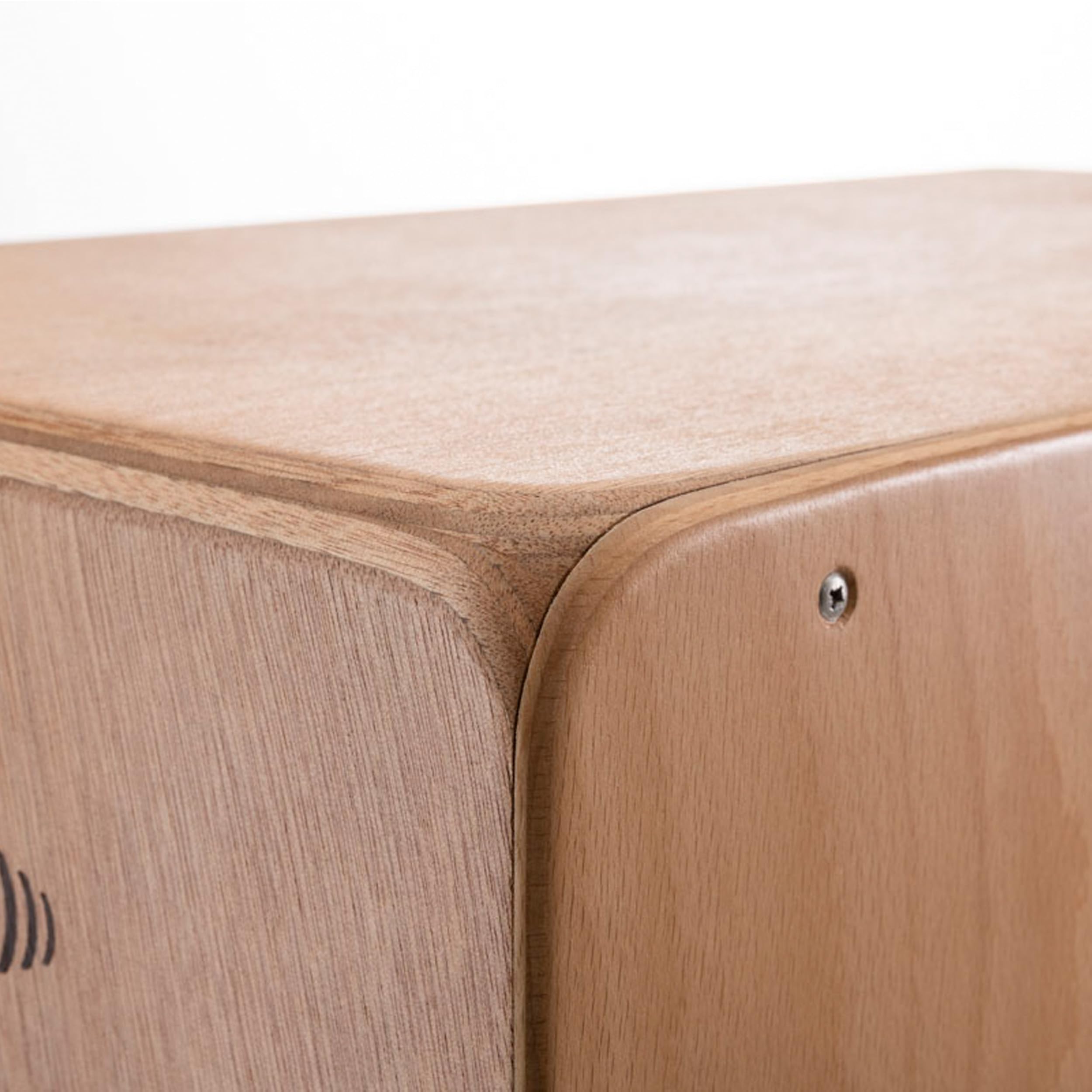 Schlagwerk BC462 - Bass-Cajon mit 2inOne Technologie mit 84 Snare Spiralen - für unplugged Gigs - Antik Buche mit Gabun Holz Korpus - Made in Germany