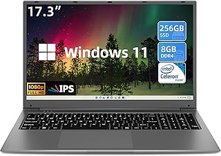 SGIN Laptop 17.3 inch, 8GB RAM 256GB SSD Laptop, Celeron Quad-Core Up to 2.8GHz, 1920x1080, 2.4/5.0G Wi-Fi, 5000mAh, Expandable Memory 512GB TF