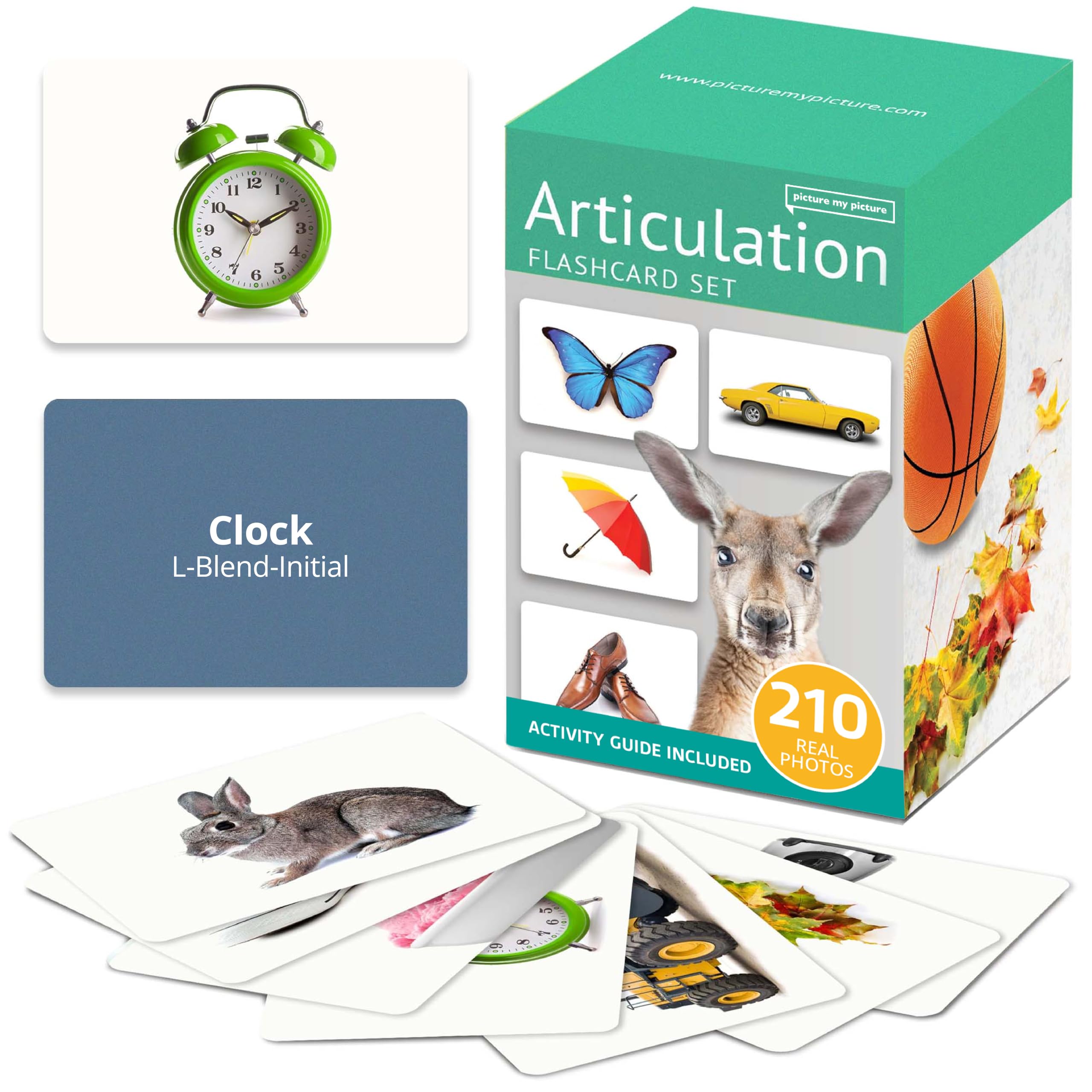 Picture My Picture Lot de 210 cartes flash articulées – Outil d'orthophonie pour vocabulaire, communication et pensée, résistant aux rayures avec guide d'activités, convient pour l'éducation, l'ESL et