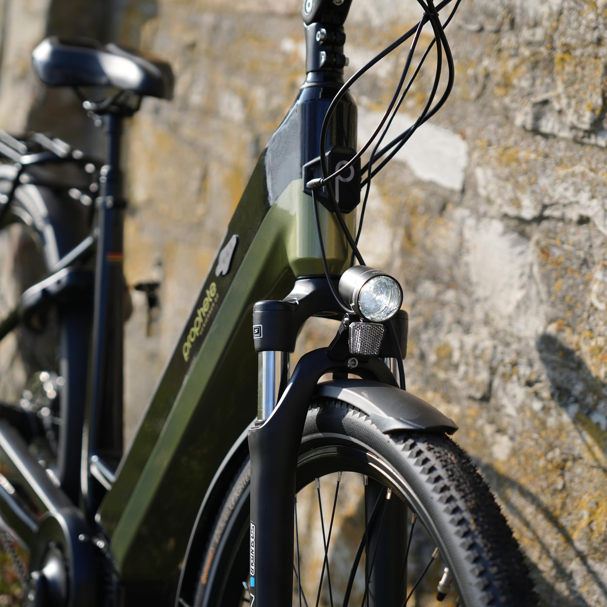 Prophete GENIESSER, E-Bike 28" – AEG Mittelmotor 250W, 220 km Reichweite,7-Gang Nabenschaltung, Hydraulische Scheibenbremsen, TFT Display, Schwarz/Silbergrün