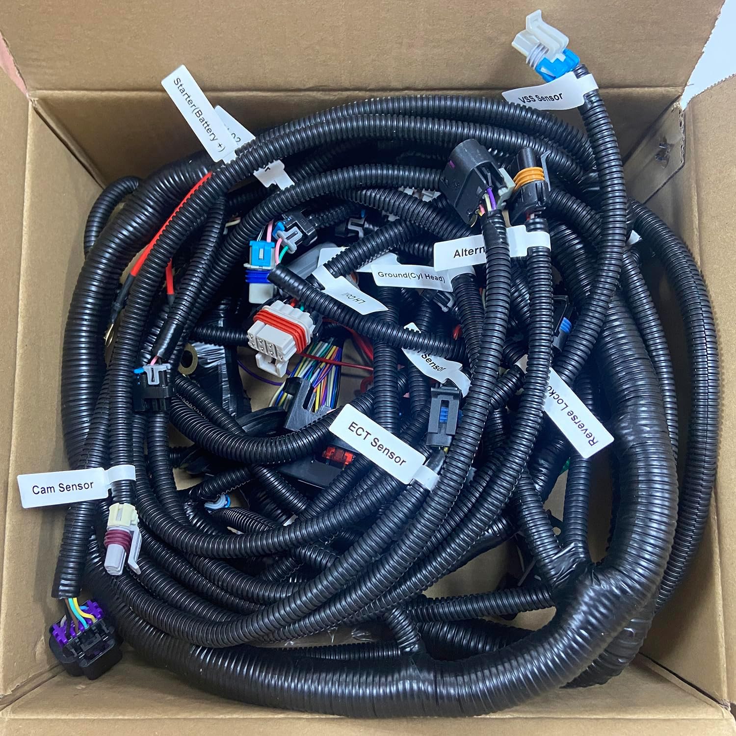 Cheriezing T56 DBW Standalone Wiring Harness 2003-2007 Drive by Wire LS1 Engines 4.8 5.3 6.0L Green/Blue PCM & Multec/Delphi Fuel Injector
