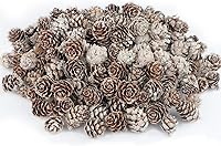 Vista 1 de 200 minipiñas de pino de nieve, piñas naturales de Navidad con pintura blanca a granel para fiestas en casa, manualidades, regalo, boda, árbol