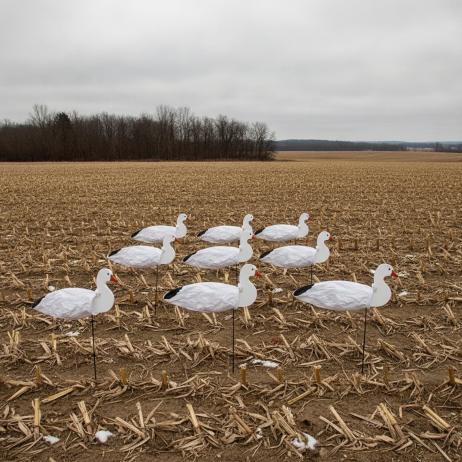 12 Stück Lockgans Flach Gänselockvogel Verarbeitet Jagdausrüstung für Wildtierjäger, Gänsejagd, style to 1