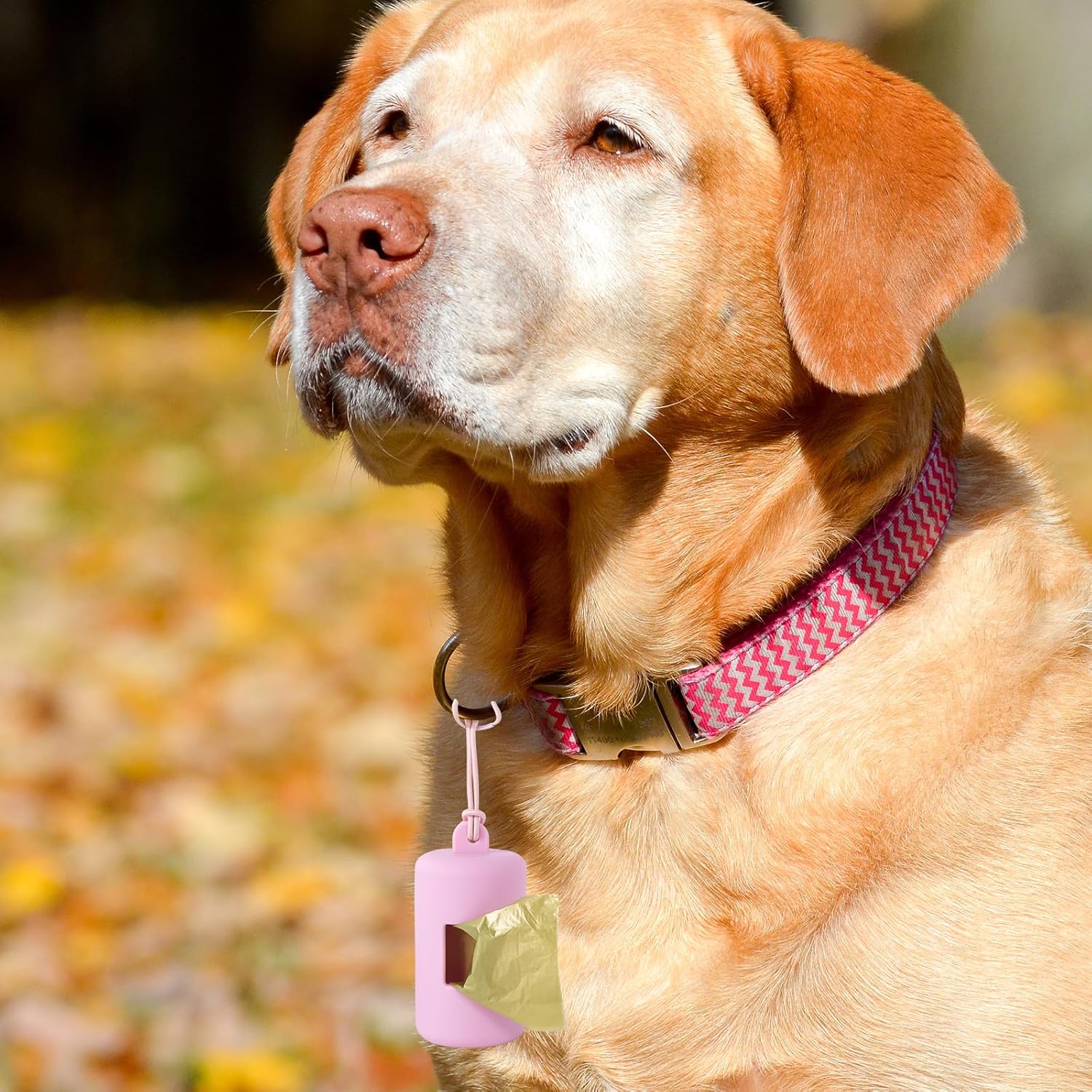 Tidy Up on the Go: Review of the 3Pack Dog Poop Bag Holder for Leash