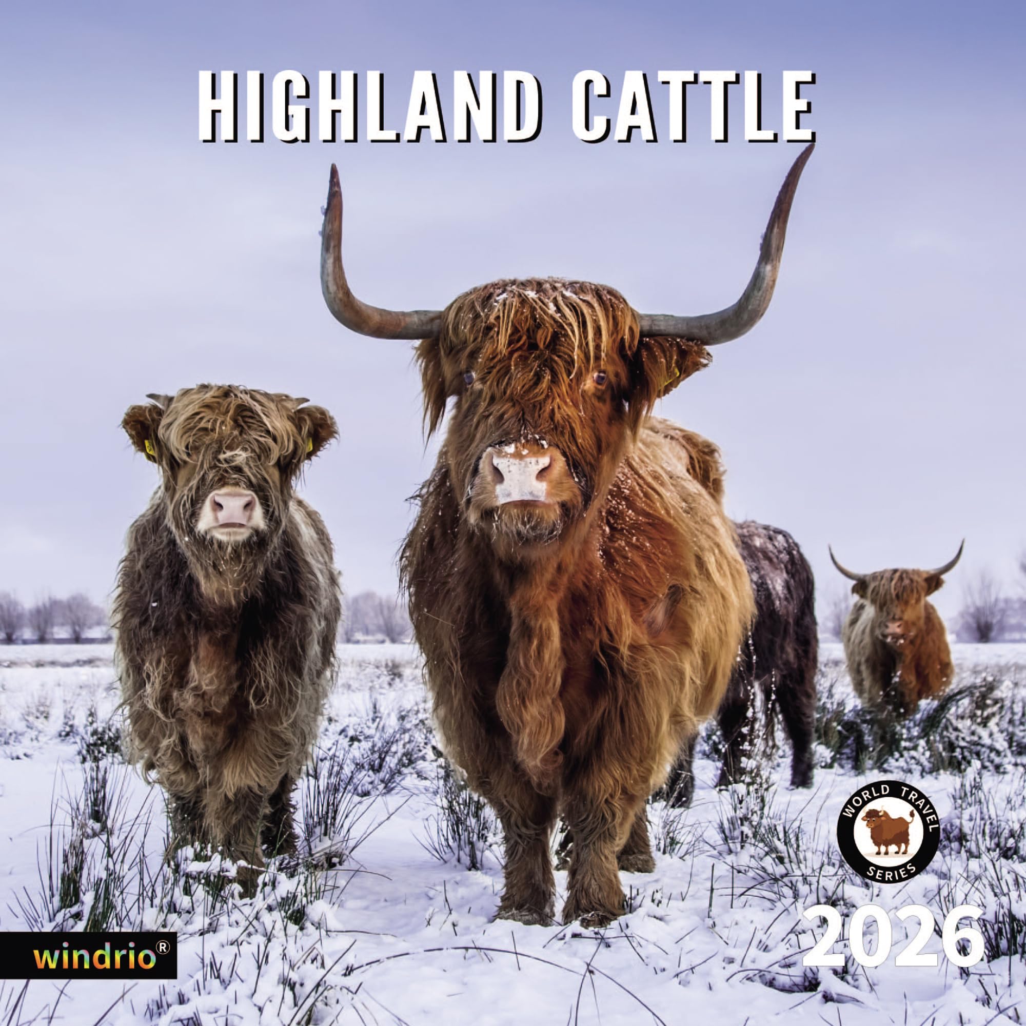 2026 Wall Calendar,Calendar 2026, November 2025 - December 2026, Wall Calendar Highland Cattle, 12" x 24" Opened,Full Page Months Thick & Sturdy Paper for Calendar Organizing & Planning