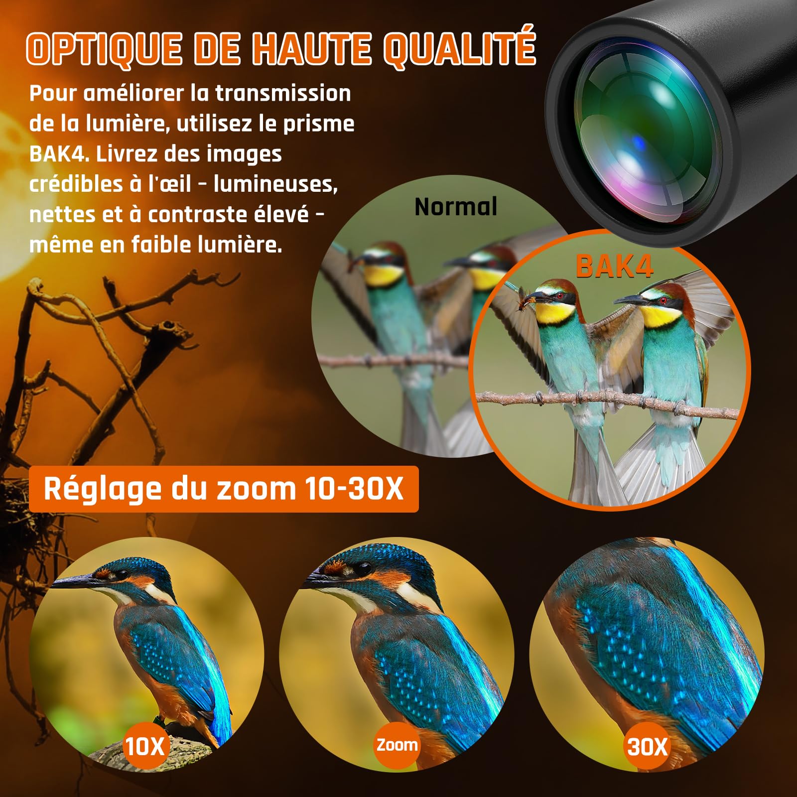 Jumelles Zoom 10-30x50 Sogries BAK4 FMC Haute Puissance pour Observation des Oiseaux