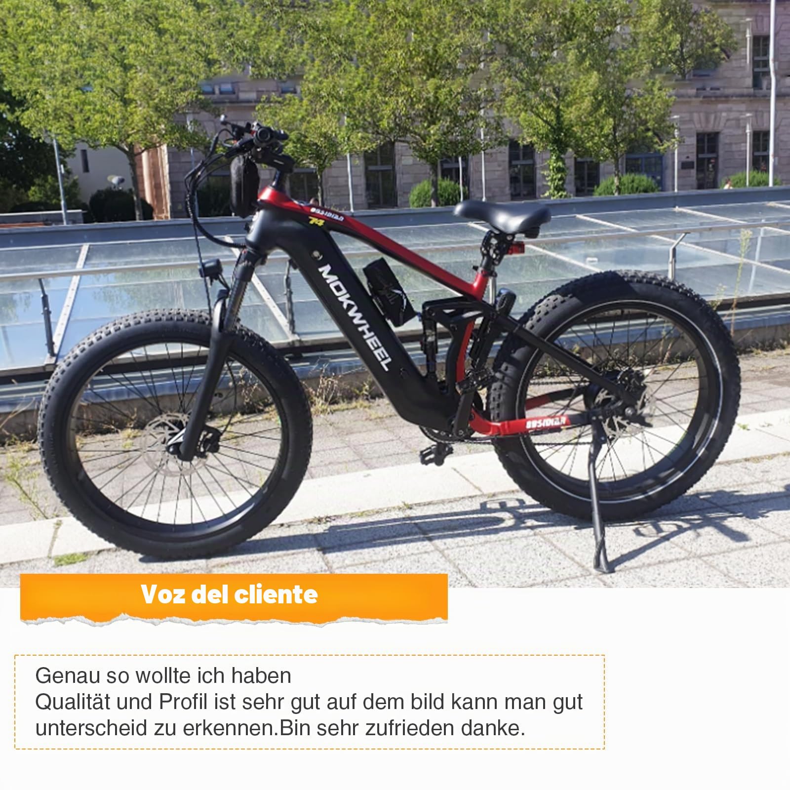Neumático de Bicicleta Eléctrica de 20x3.0 pulgadas, Neumático Antipinchazos 76-406 para Bicicleta Eléctrica/Fat Bike/MTB (Negro, 2 Pcs Neumático 20x3.0 (Solo 2 neumáticos))