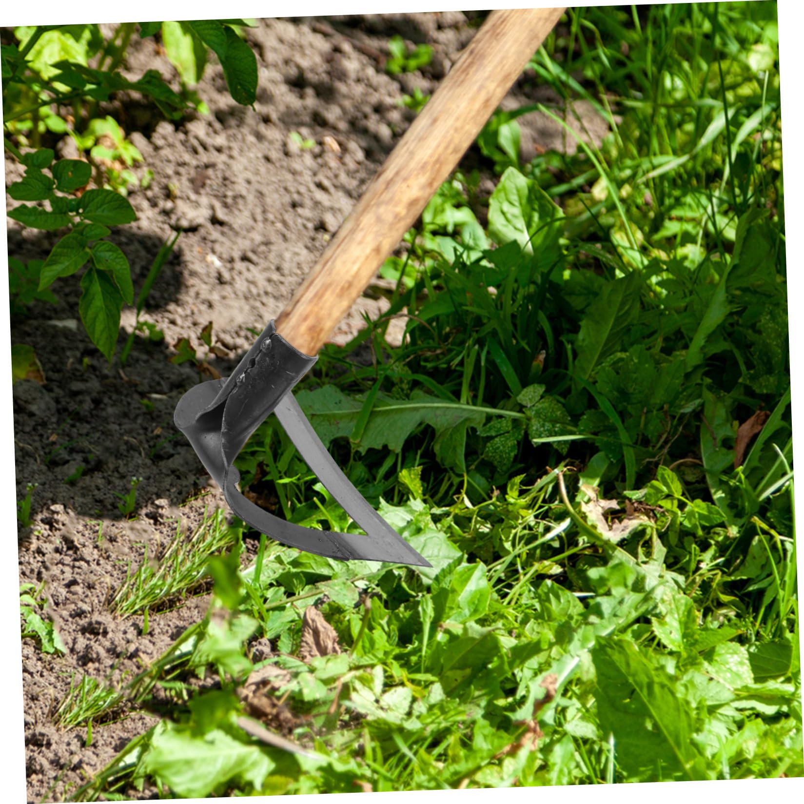 Azada de Trabajo Pesado de Acero Inoxidable para Deshierbe | Herramienta de Jardinería, Diseño Resistente Deformación, Uso Agrícola para Quitar Hierbas