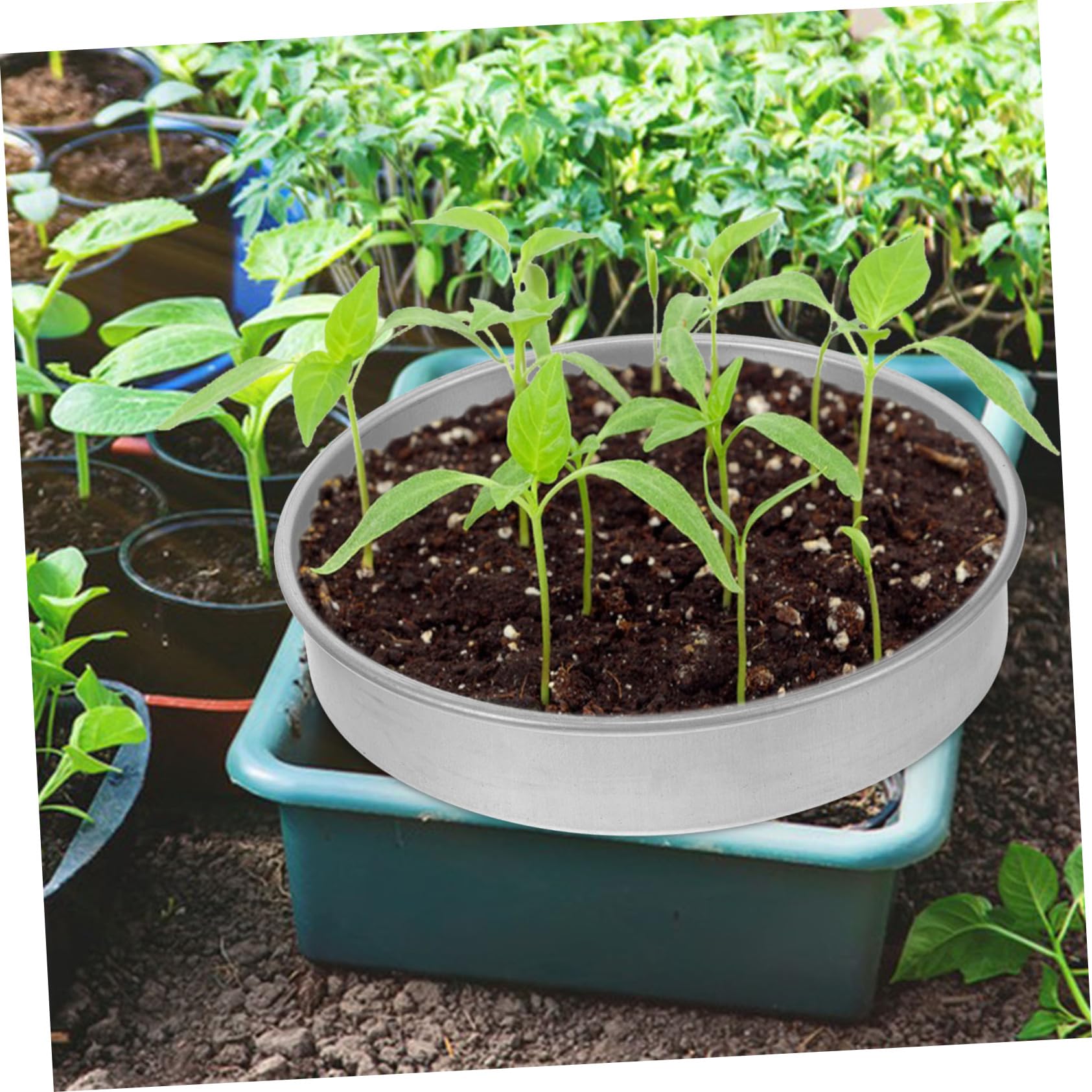 Sosoport Edelstahl Keimschale Für Garten Anzuchtschale Mit Optimaler Nährraum Für Pflanzen Robuste Und Langlebige Startschale Für Gartenliebhaber