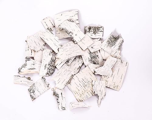 Hojas de corteza de abedul natural para decoración de manualidades de diferentes tamaños de hojas de abedul (30 hojas de corteza de abedul)