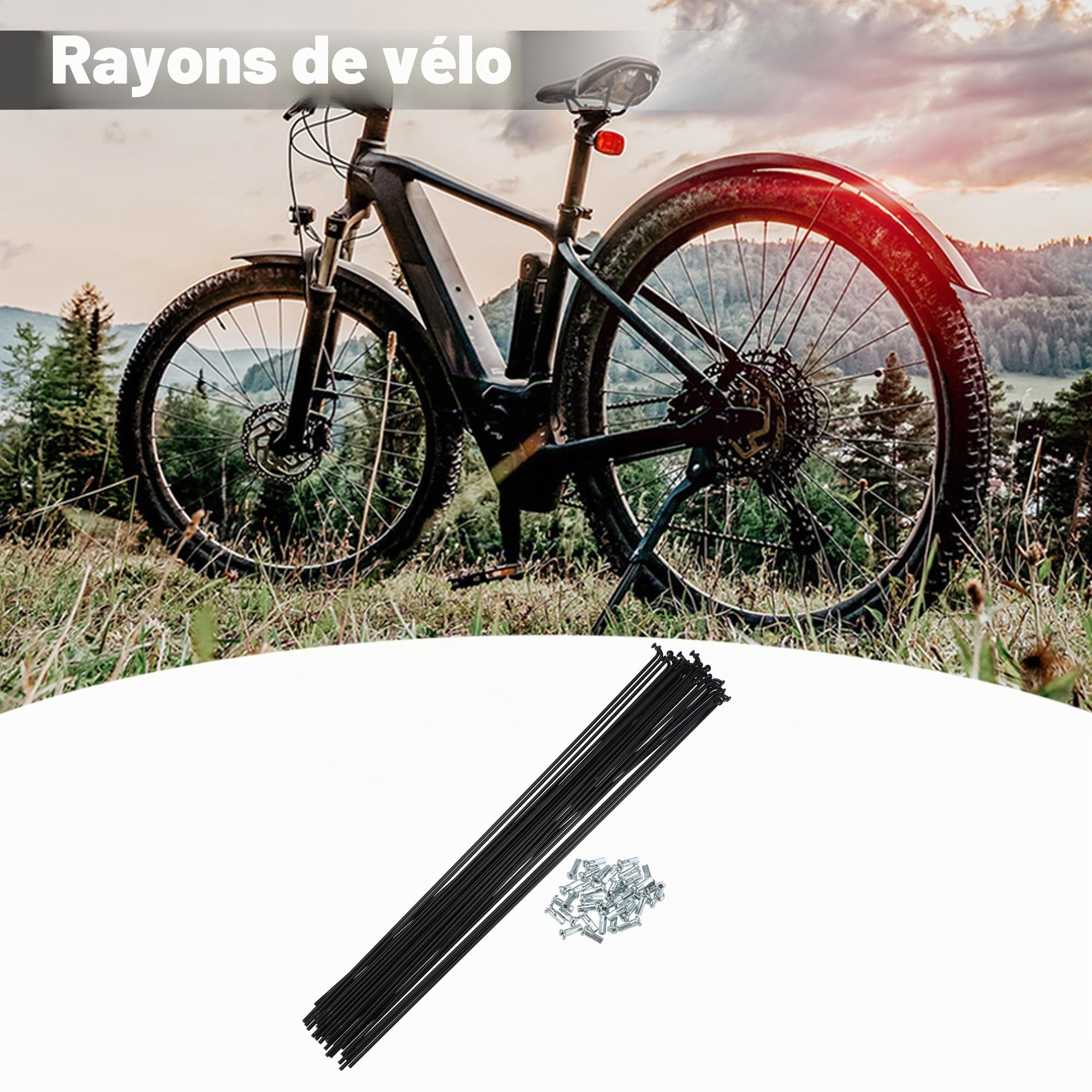 QUARKZMAN Rayons De Vélo Coudés en J 14G 36 Pièces Noir Acier 280mm | Acier, Pour Vélo Et Moto, Tétons 12x6mm, Tête Coude 3.8mm, Filetage M2x0.45, 36 Écrous