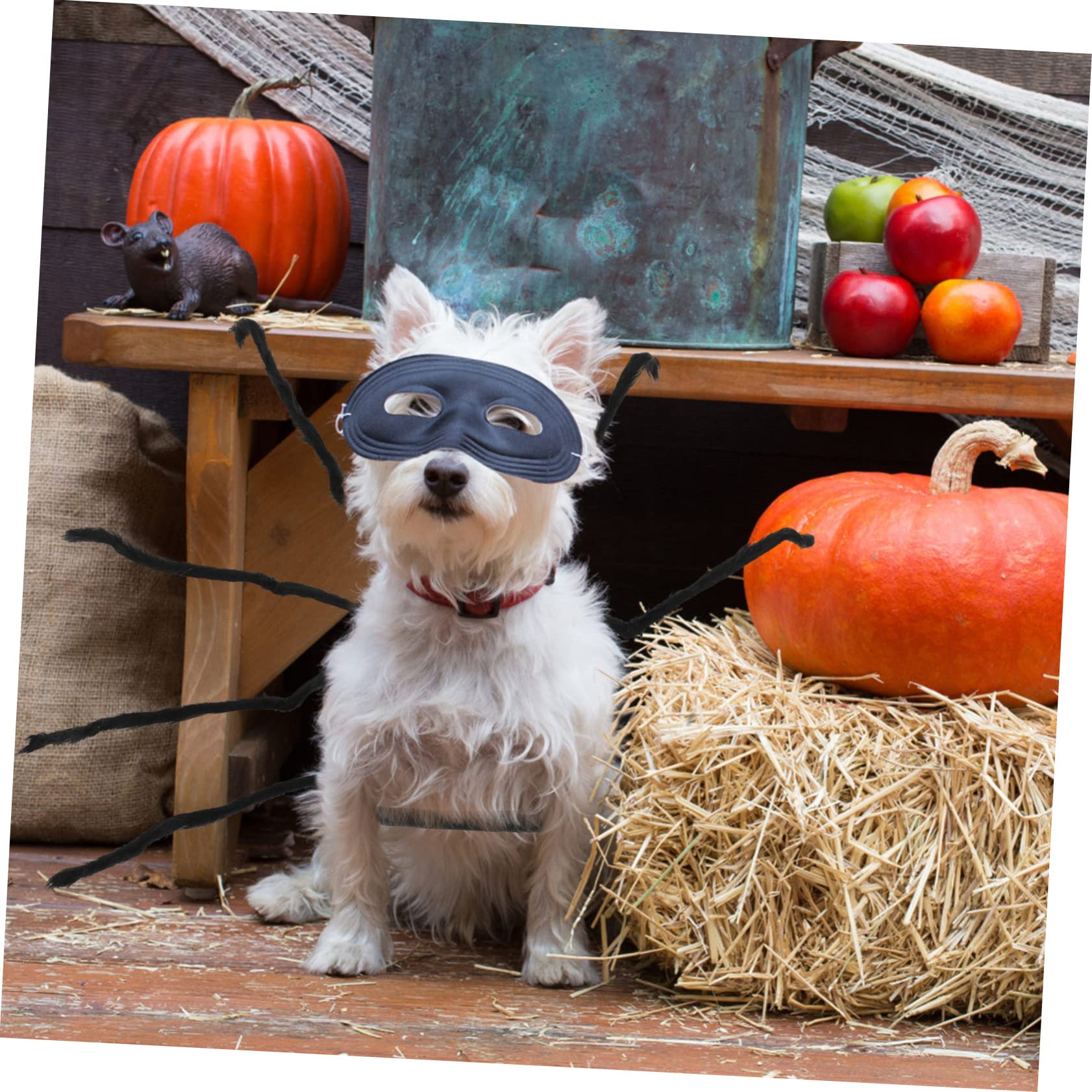 HANABASS 3pezzi Costume Per Animali Domestici Forma Di Ragno Fuzzy Per Halloween Accessorio Divertente e Spaventoso Per Cani e Gatti Adatto Occasioni Festive e Foto Memorabili