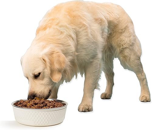 Miniatura 6 de PetRageous Kona 16011 - Cuenco para perro de acero inoxidable antideslizante, apto para lavavajillas, 6.5 tazas de 8.5 pulgadas de diámetro y 2.75