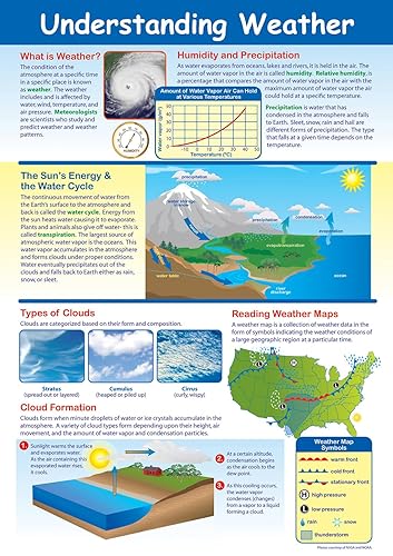 NewPath - Póster de todo sobre el clima, laminado, a todo color, 23 x 35 pulgadas (34-6505)
