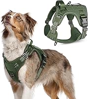 Vista 11 de rabbitgoo - Arnés táctico para perros grandes, chaleco de servicio militar sin tirones con asa y equipo Molle, fácil control para entrenar