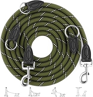 Aystkniet 3M Verstellbar Hundeleinde für Große und Mittlere Hunde, Robuste Nylon Reflektierende Freihandleine mit 2 Karabiner, Führleine und Umhängeleine Hund mit 250kg Zugkraft, Grün, 12mm