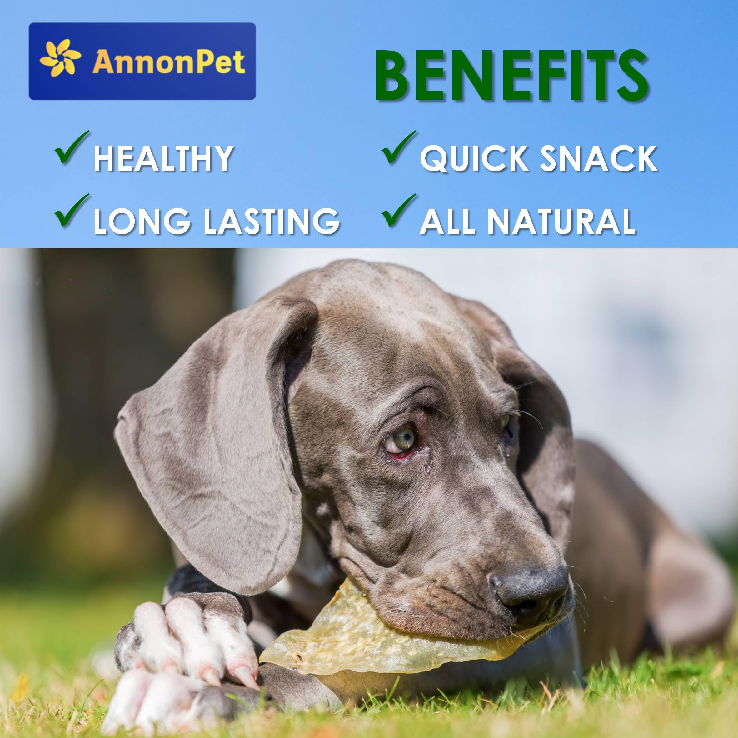 Lot de 10 oreilles de bœuf séchées pour chiens - Articles à mâcher naturels et faciles à digérer - Riche en protéines, sans additifs - Idéal pour les soins dentaires et la réduction du stress