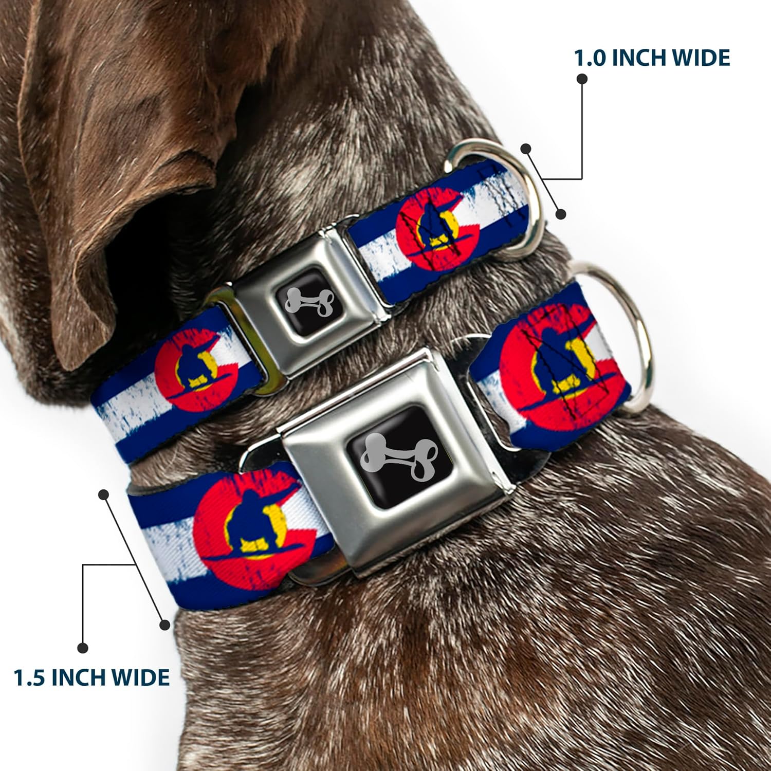 Buckle-Down 9-15" Colorado Flag/Snowboarder Weathered Dog Collar Bone, Small