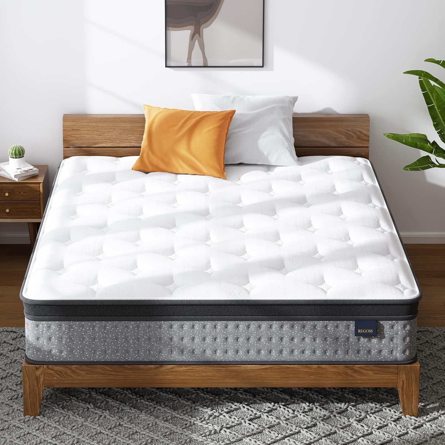 REGOSS Queen Mattress in a Box, 12 Inch Plush Pillow Top Hybrid Mattress, Foam Spring Mattress