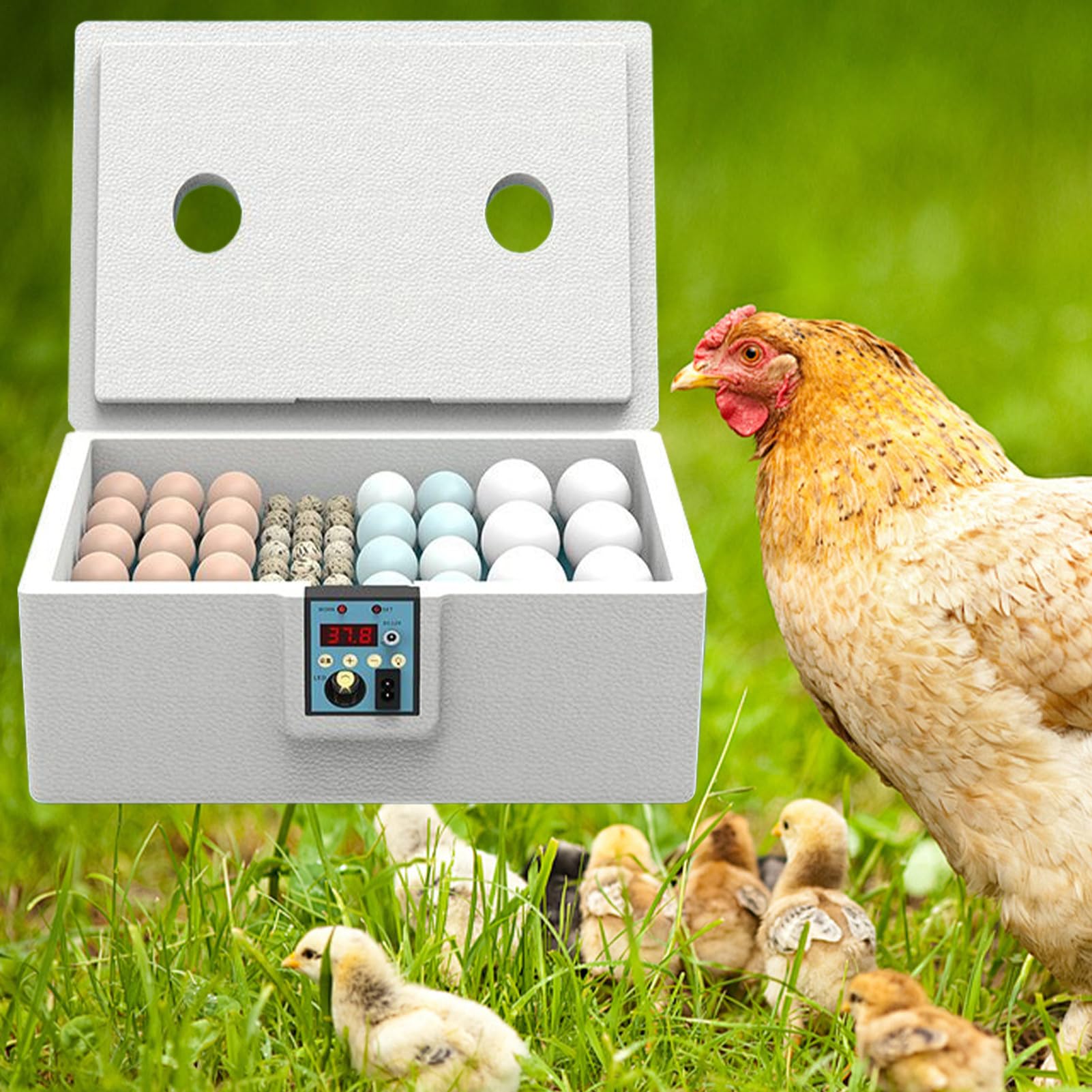 Incubadora De Huevos | Incubadora Avícola con Capacidad para 10-25 Huevos - Criadora Avícola Inteligente con Volteo Automático para Cría Y Eclosión En Invernaderos Y Guarderías