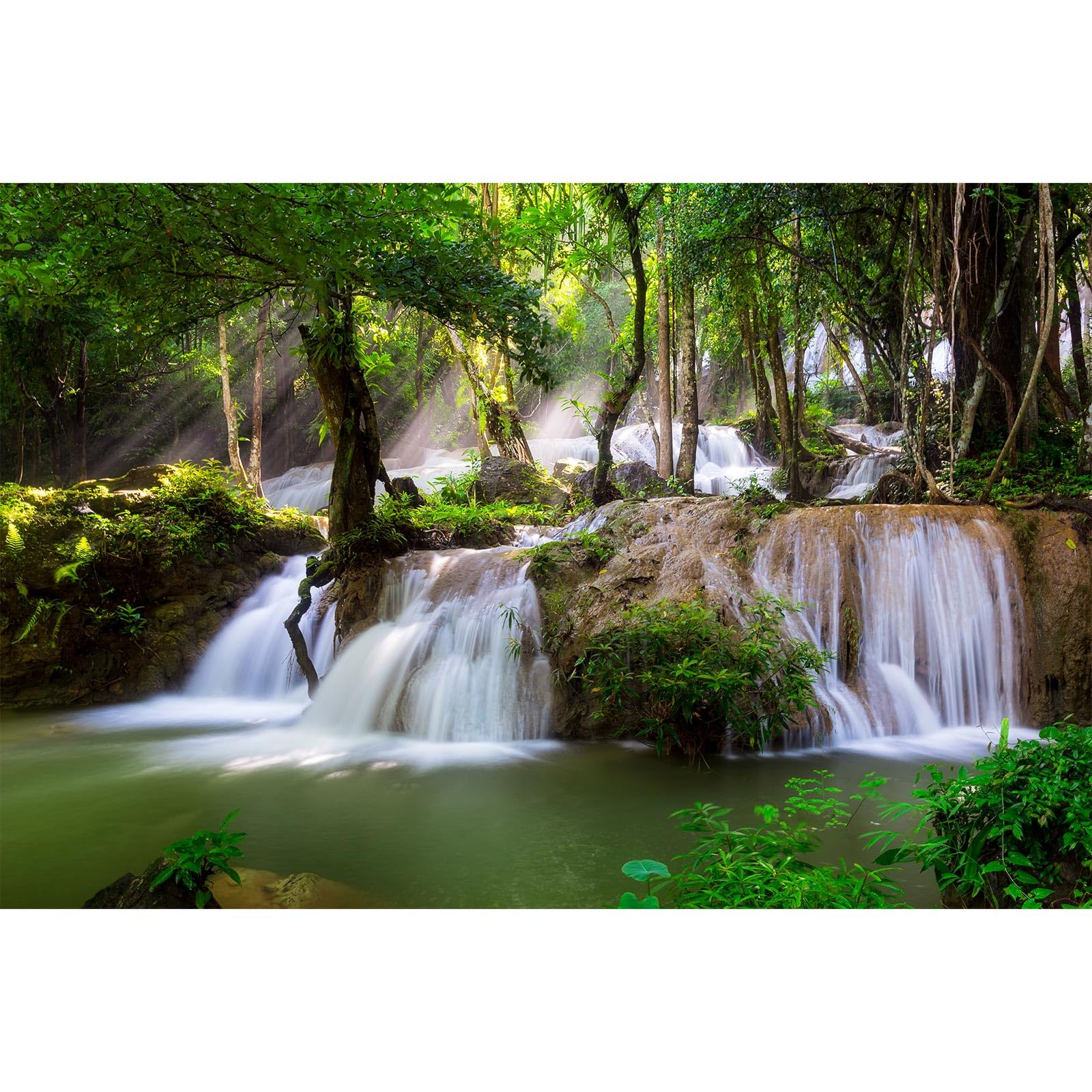 Waterfall Aquarium Background Jungle Plants Rocks Terrarium Background Falls Green Plants Natural Landscape Fish Tank Background Old Tree Waterfall Rock Style Reptile Background Vinyl 24x12in