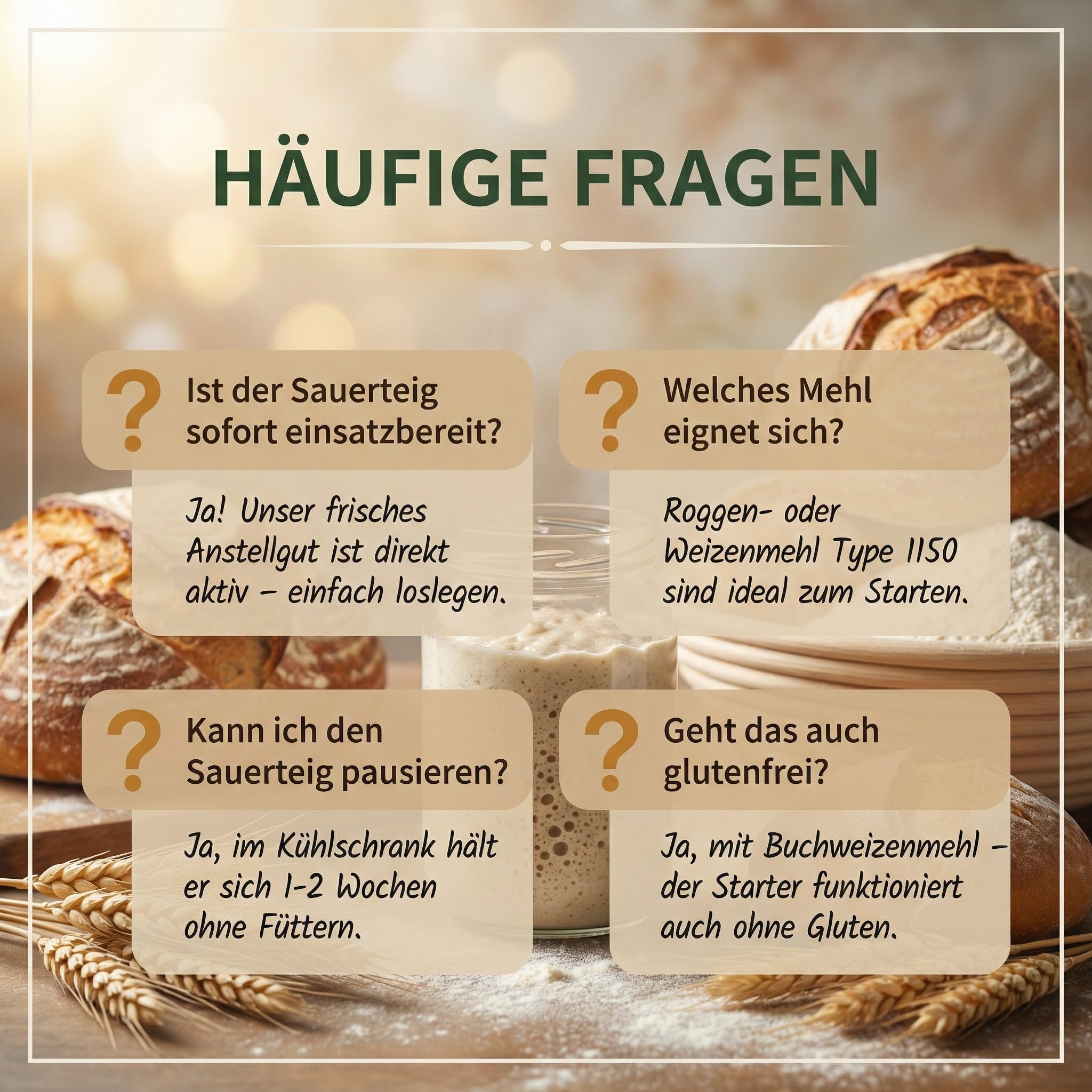 HeldenPilz | Masa agria orgánica fresca | Set para hornear pan + regalo | hacer pan crujiente tú mismo, incluye instrucciones y recetas, ingredientes 100% naturales (centeno para iniciar la levadura