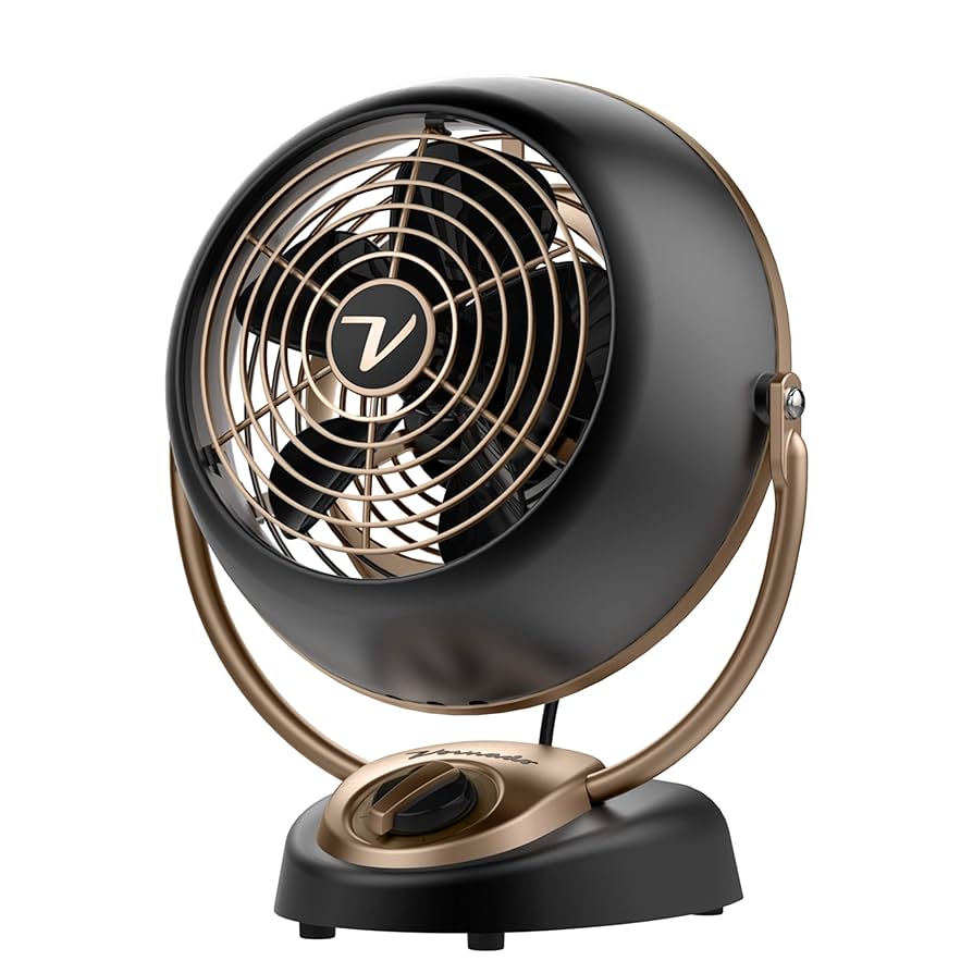 Amazon.com: Vornado Silver Swan Alchemy and VFAN Petite