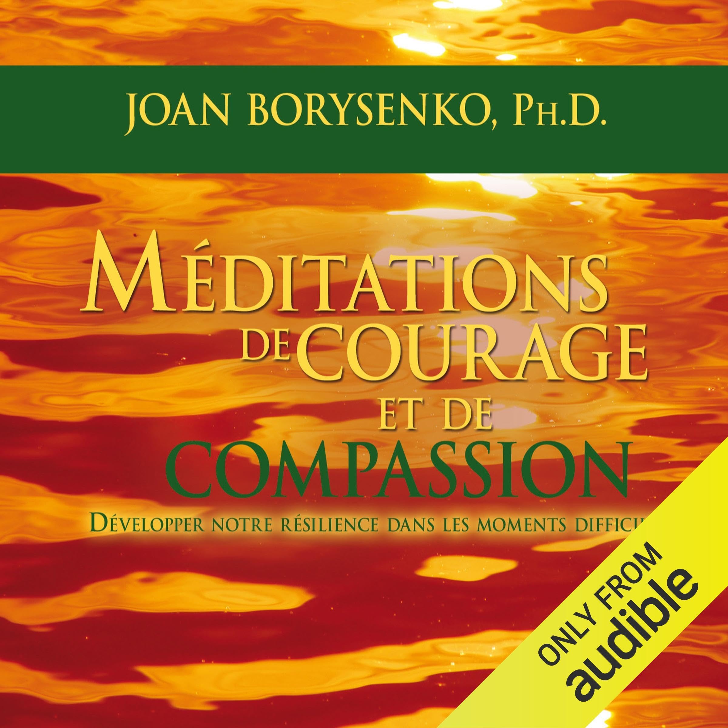 Méditations de courage et de compassion