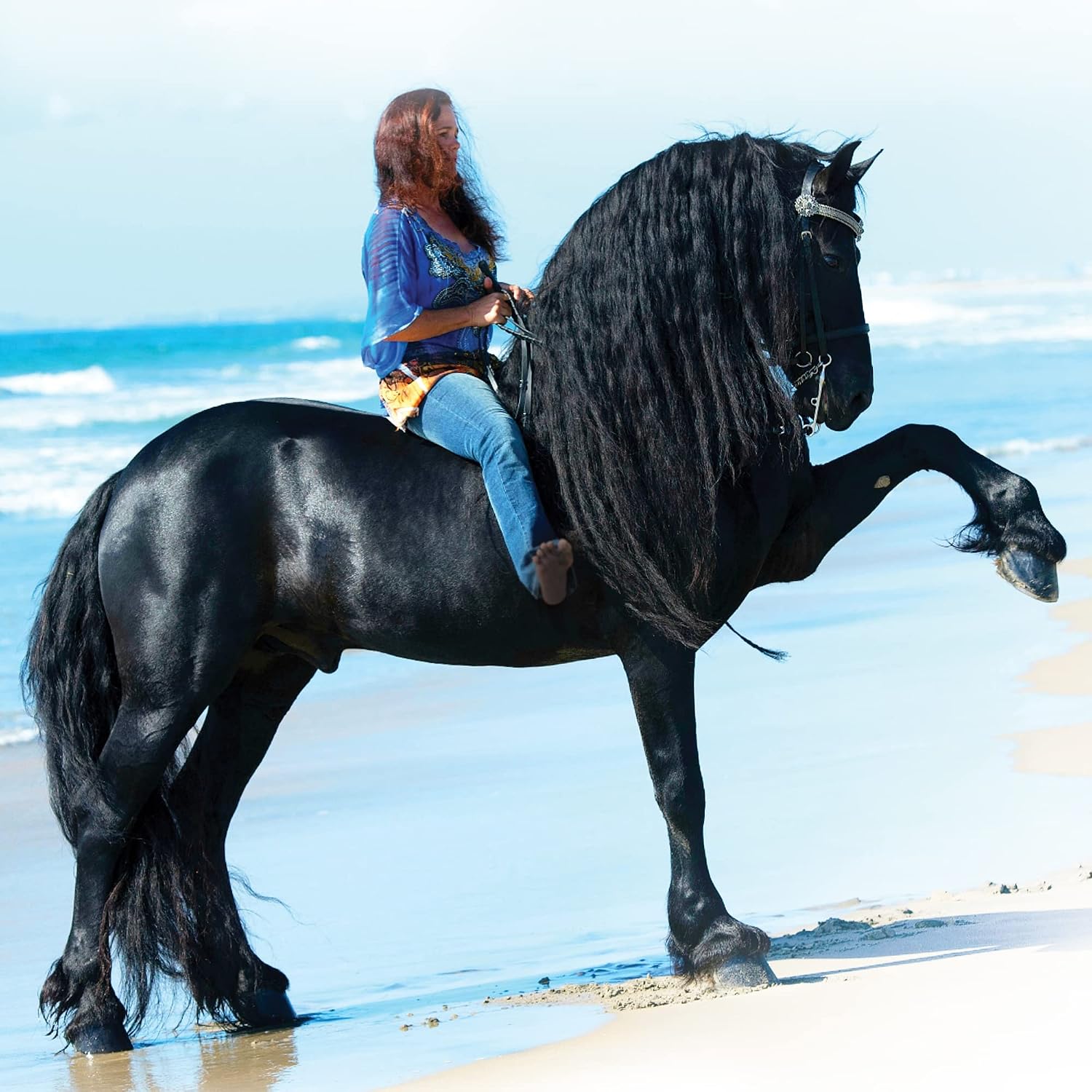 Breyer Horses Traditional Series Sjoerd | Horse Toy Model | 12.25" x 8" | 1:9 Scale | Model #1859