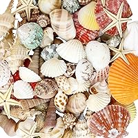 WEOXPR 100+ Mixed Beach Sea Shells & Starfish, Various Sizes 0.3-3.1" for Crafts, Vase Fillers, Fish Tanks, Beach Party Wedding Decor