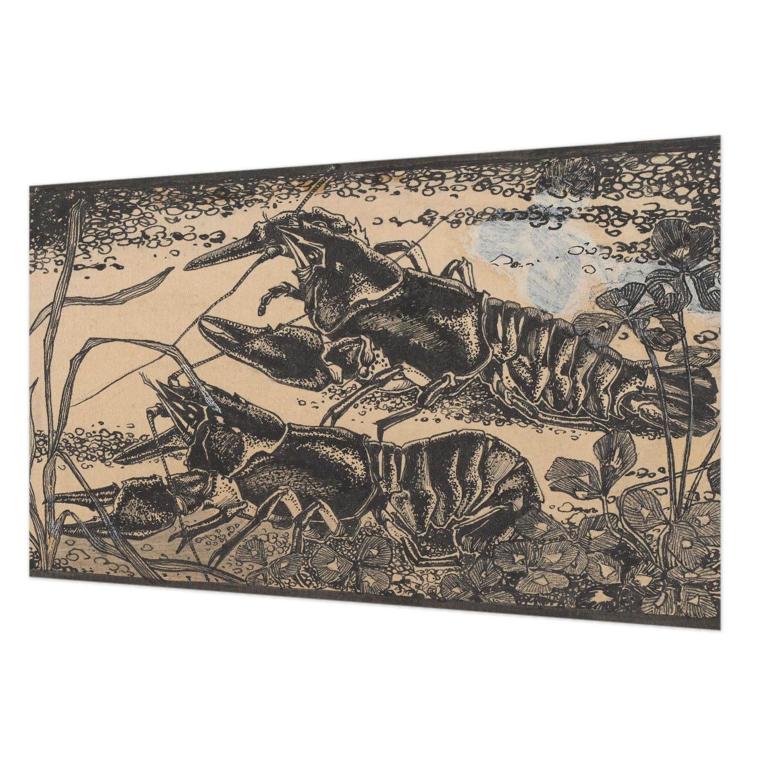 Revêtement mural intissé 416x254 cm Tulup avec colle motif écrevisses d'eau pour salon