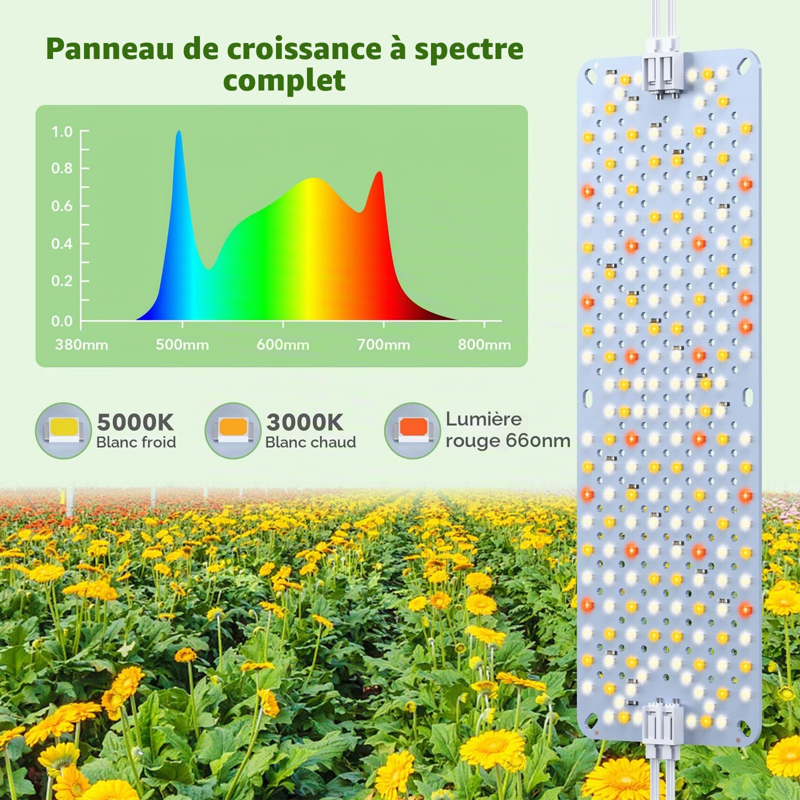 5PCS Lampes de Croissance à Spectre Complet pour Plantes d’Intérieur, Panneaux LED 60W avec Daisy-Chain, Minuterie Automatique 4/8/12H, 960 LEDs, Lumière Type Soleil pour la Culture en Intérieur