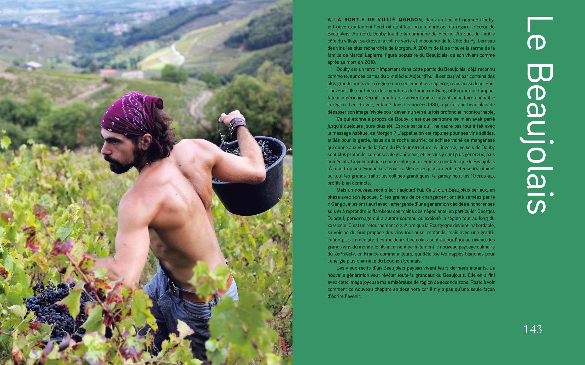 Coffret en 2 volumes Le nouveau vin français: Redéfinir la plus grande culture viticole du monde