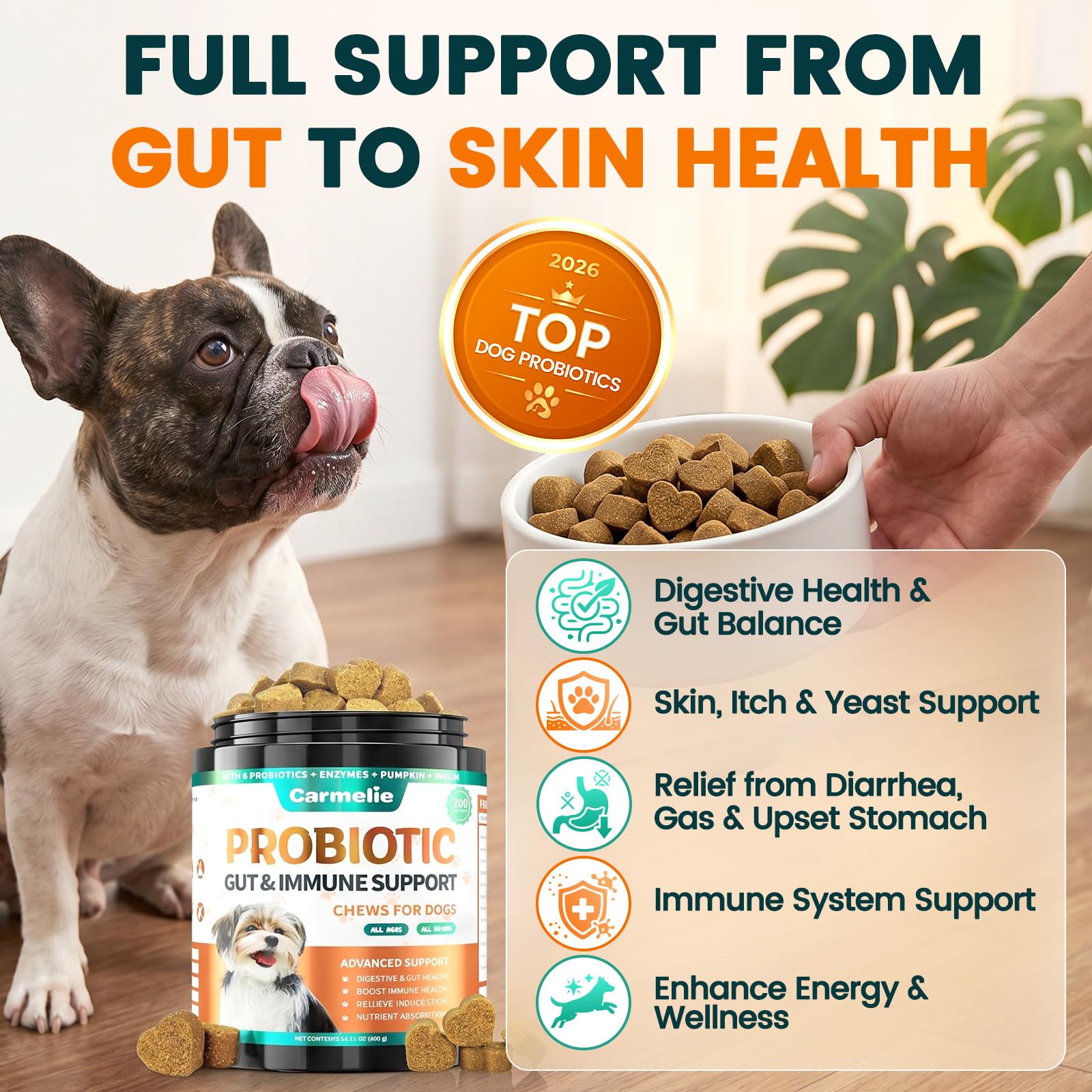 Carmelie Probiotiques pour chiens, 200 probiotiques digestifs et enzymes pour la santé intestinale avec citrouille, fibres pour chiens, anti-diarrhée, maux d'estomac, soulagement des gaz