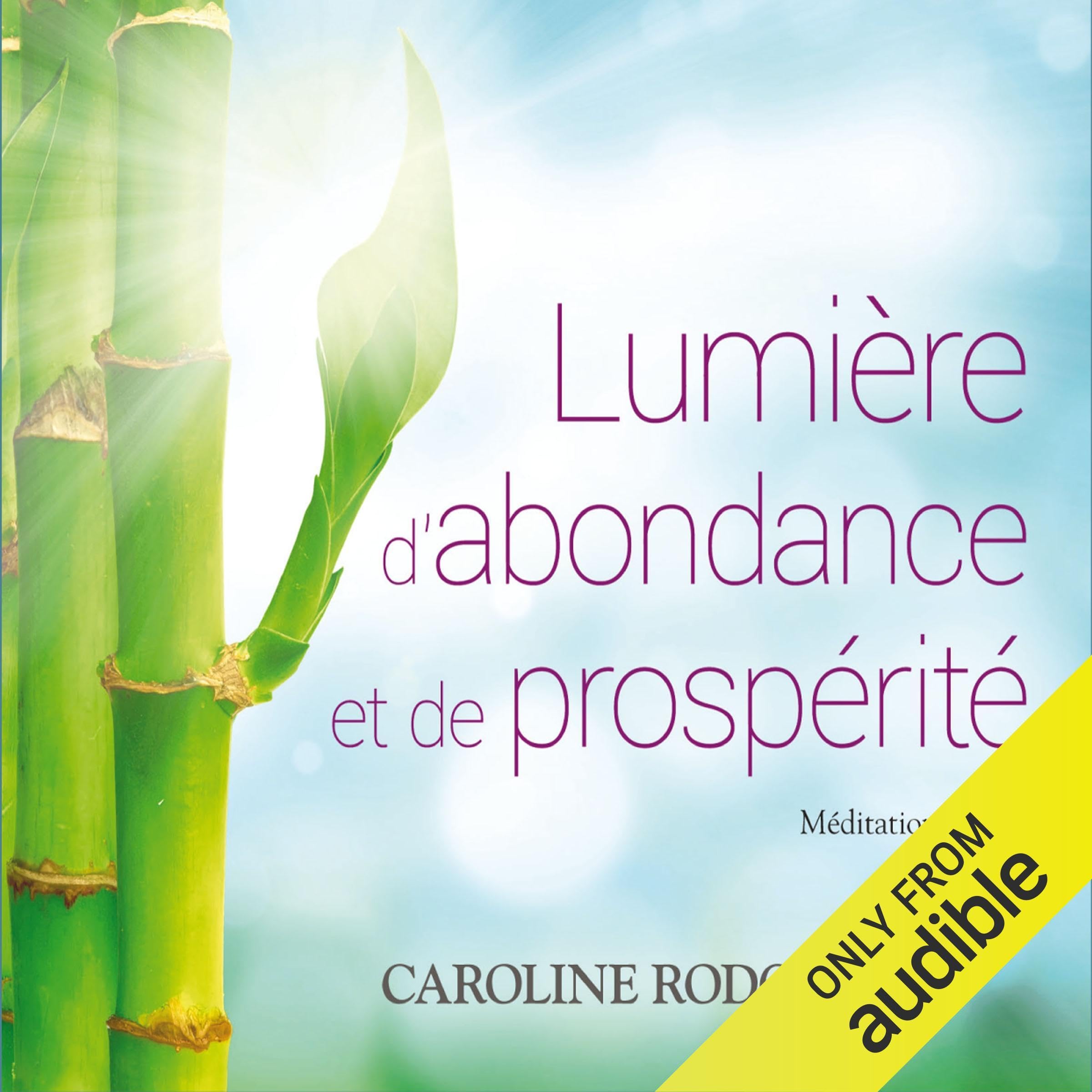 Lumière d'abondance et de prospérité [Audio CD] Rodgers, Caroline
