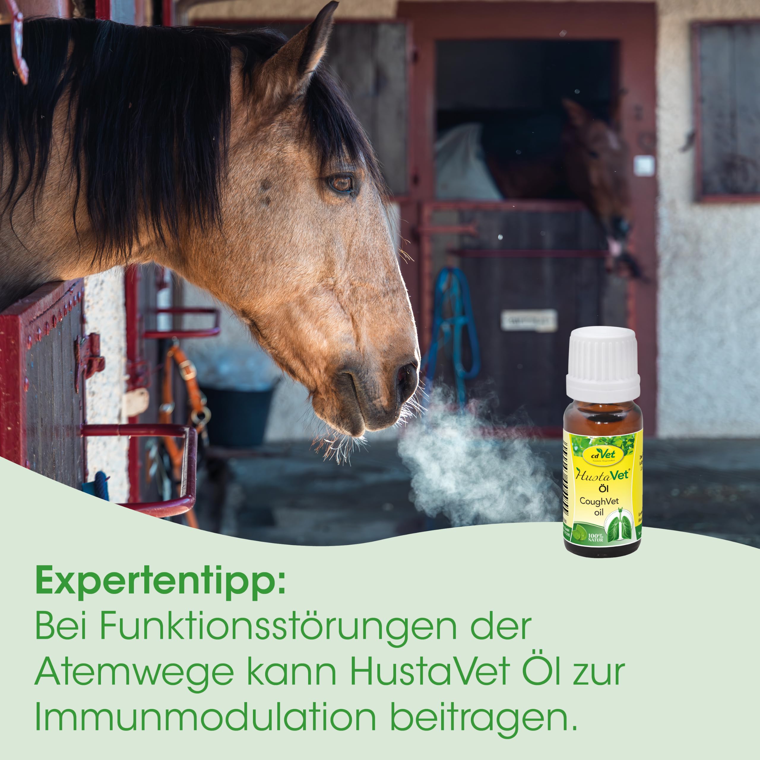 HustaVet Öl 250ml