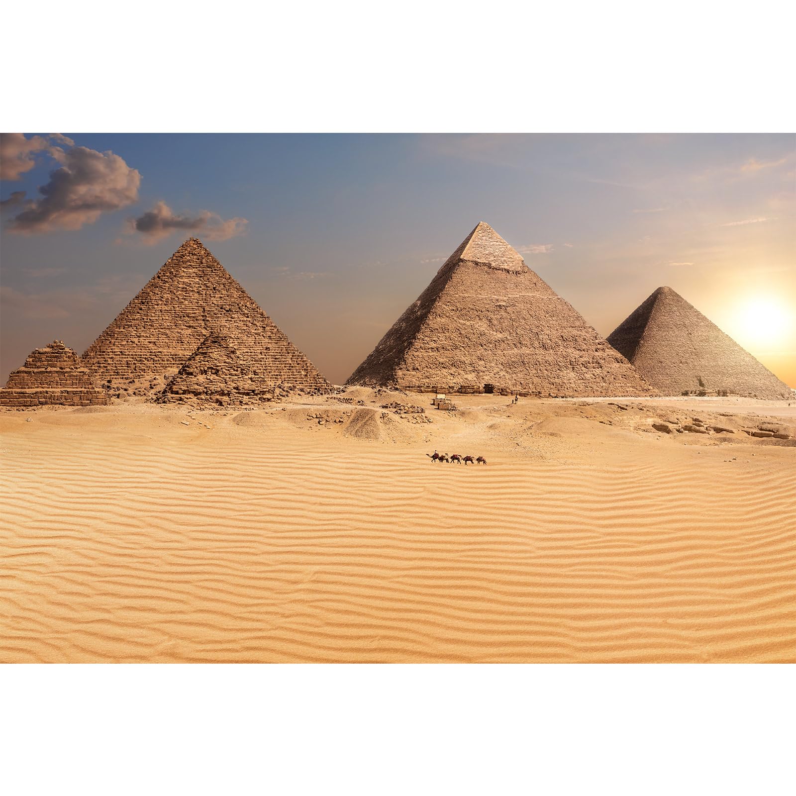 Egypt Pyramids Aquarium Background The Great Pyramid Camel Caravan Terrarium Background The Pyramids Egypt Desert Sunset View Reptile Habitat Background Pyramids Fish Tank Background 24x12in