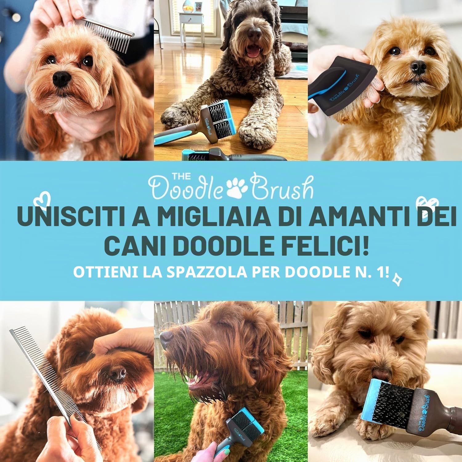 The Doodle Brush Spazzola Per Cani Per La Muta Doppia Testa Doodle | Design Flessibile, Punte Lunghe Delicate, Districa Grovigli, Mantello Riccio Curato, Ideale Goldendoodle Barboncini
