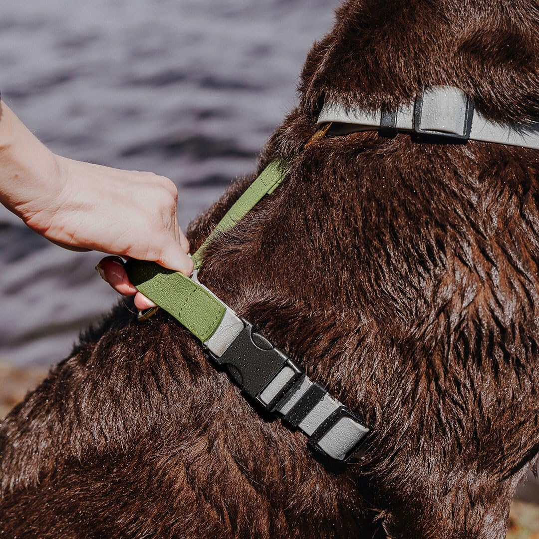 arnés para Perros, Hecho a Mano, 5 Puntos Ajustable, Impermeable, Made in Germany, para Perros pequeños a Muy Grandes, arnés de Paseo, Pecho y Entrenamiento (L/XL, Gris/Verde)