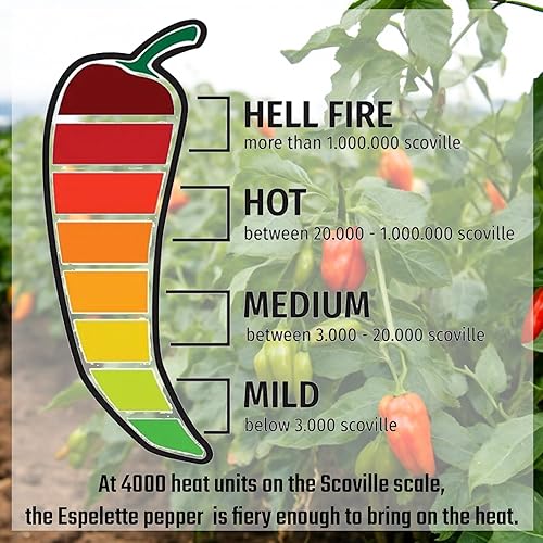 Miniatura 4 de Gourmanity Piment d'Espelette - Pimienta en polvo de vasca, Francia, aromática y ahumada con calor suave, condimento de chile rojo secado al sol