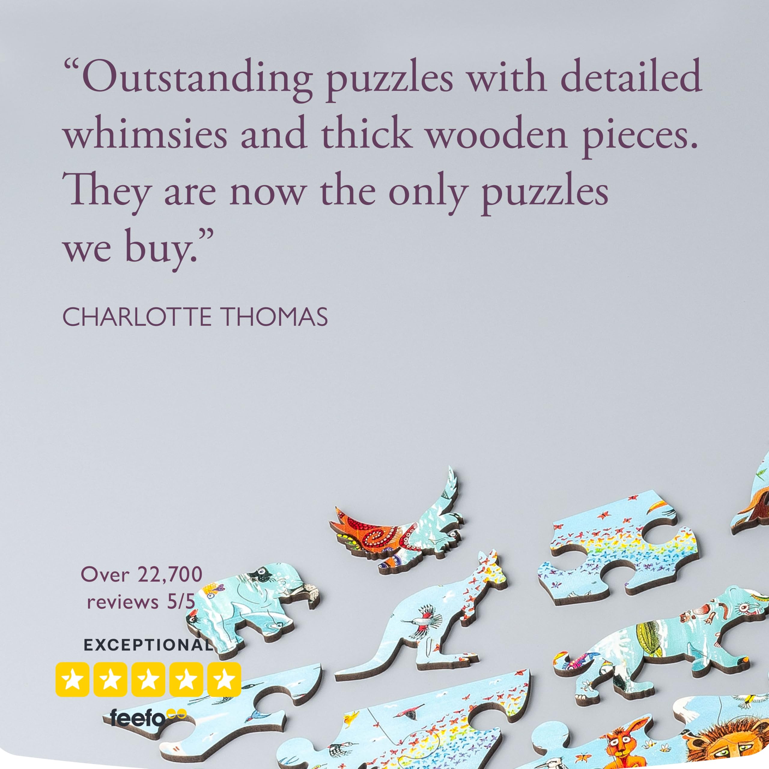 Wentworth Jigsaw Puzzle - Noah’s Ark - 100 Large Pieces - For Children - Shaped Puzzle Pieces & Themed Whimsies - Great for a Gift - Image 4