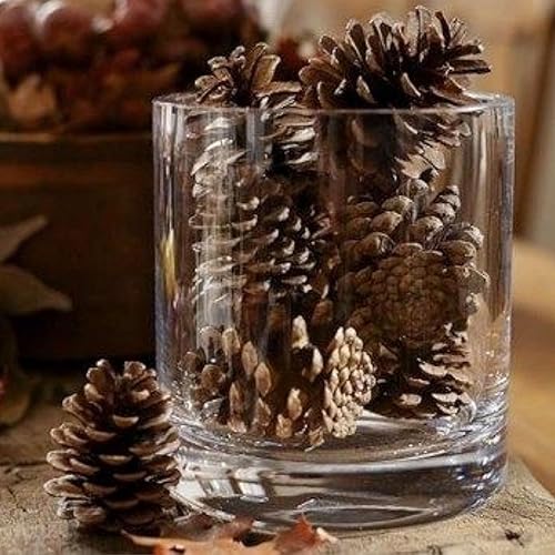 Miniatura 4 de Conos de pino perfumados para decoraciones navideñas, paquete de 30 piñas pequeñas y 3 palitos de canela para manualidades y relleno de jarrón,