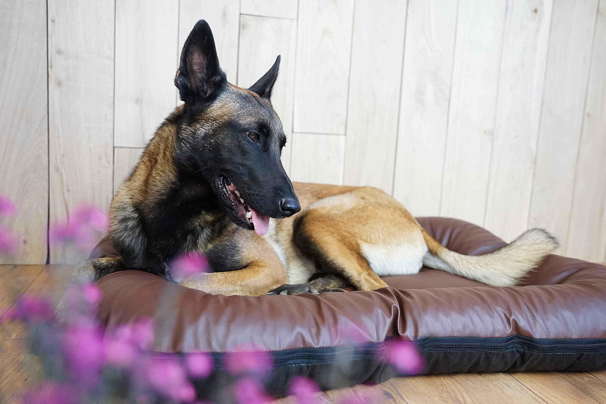 4L Textil ELLA Cuccia per Cani in Ecopelle Grande XL - Cuscino, Lettino, Materasso (M - 90x70 cm, Marrone)