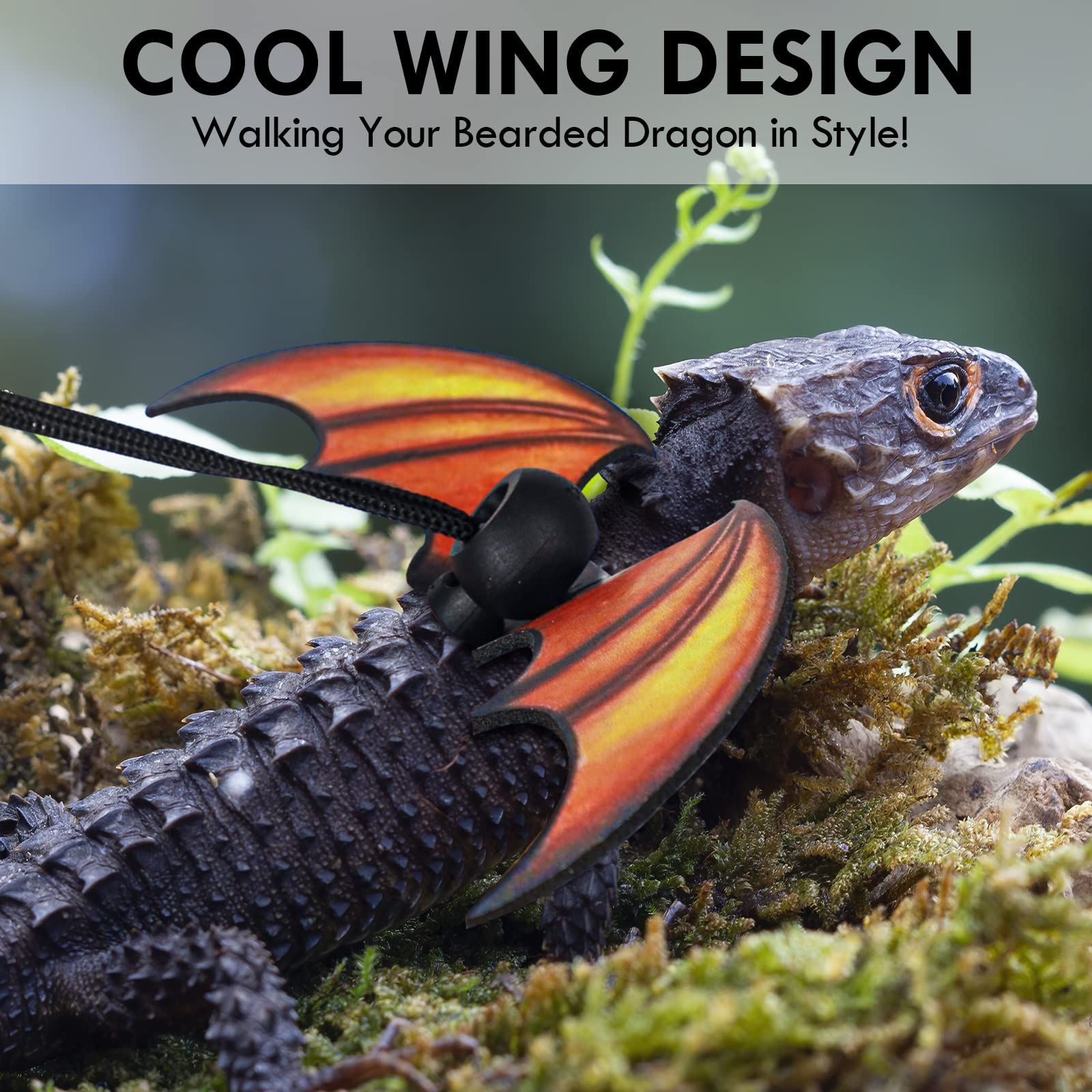 leopard gecko leash amazon