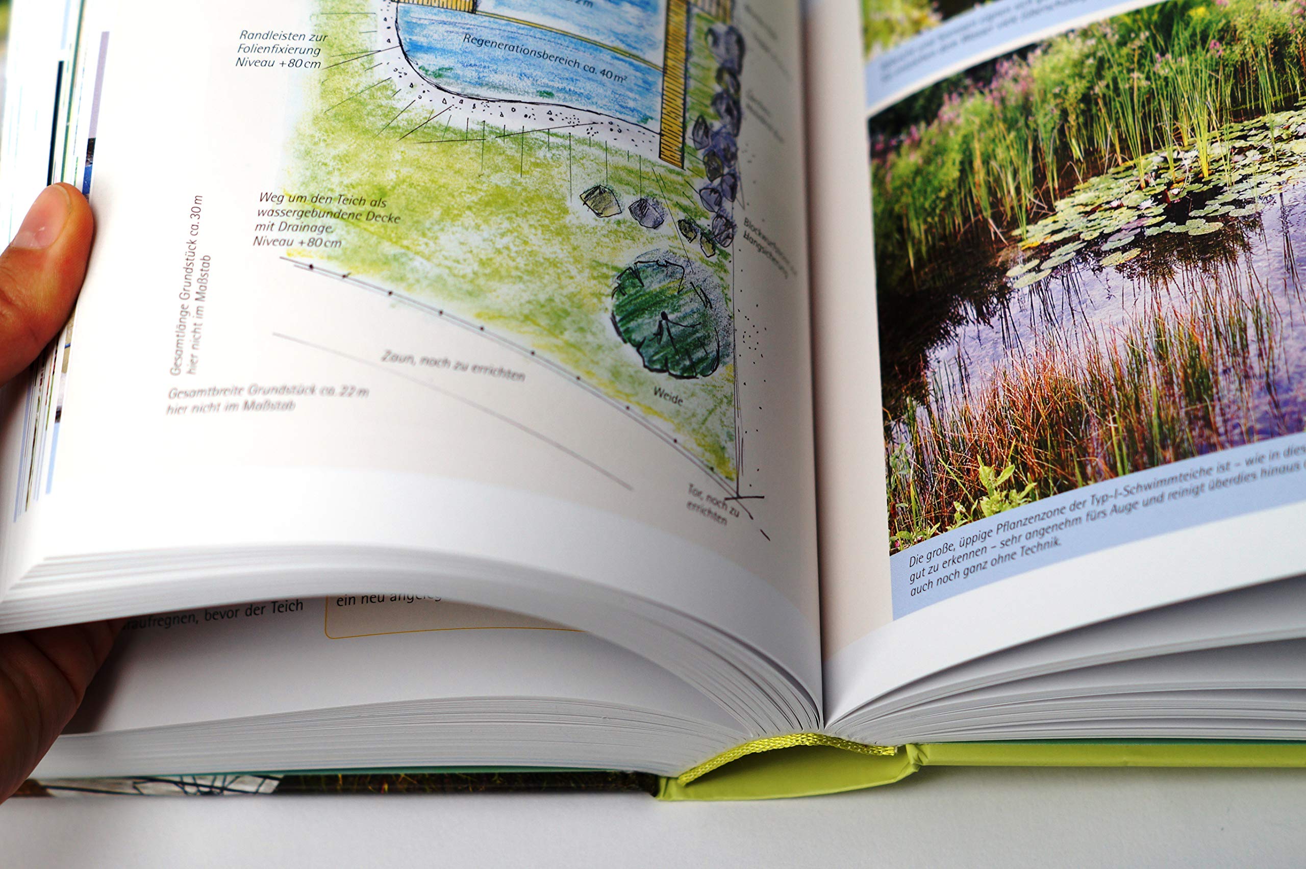 Handbuch Wasser im Garten. Wasser sparen, nachhaltig nutzen, Teiche und Biotope planen und anlegen